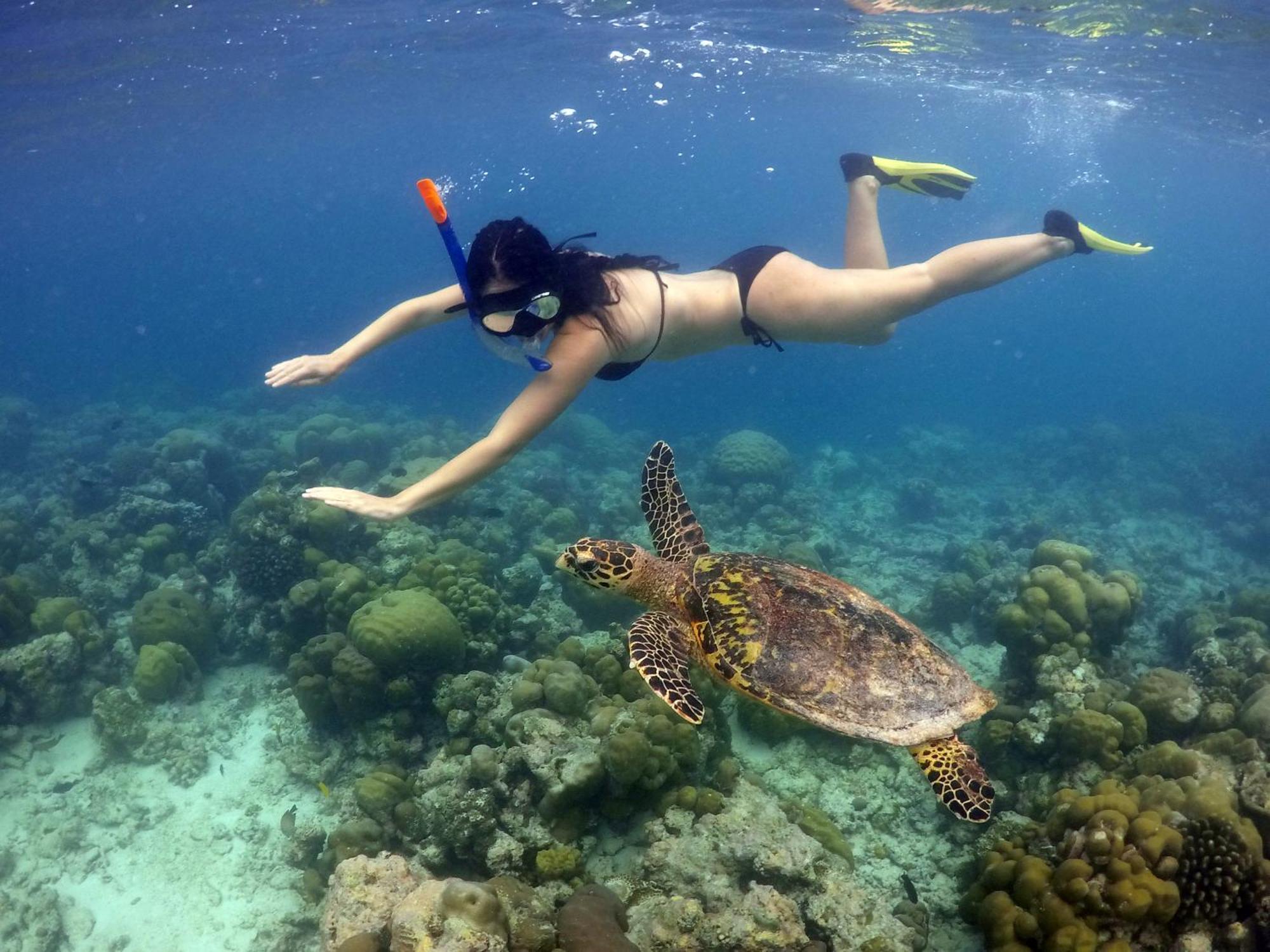 Hanifaru Transit Inn Dharavandhoo Kültér fotó