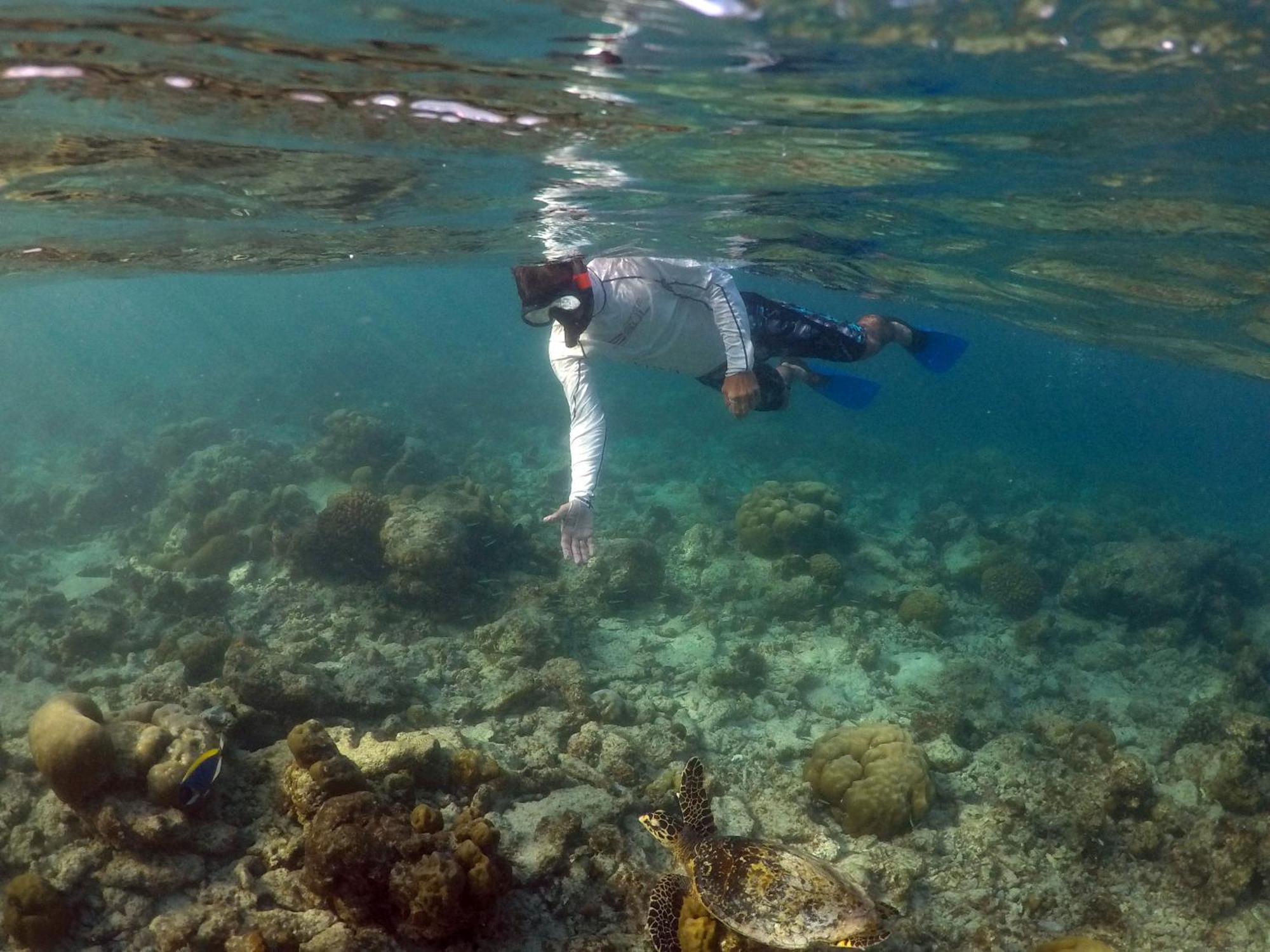 Hanifaru Transit Inn Dharavandhoo Kültér fotó