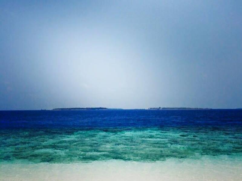 Hanifaru Transit Inn Dharavandhoo Kültér fotó